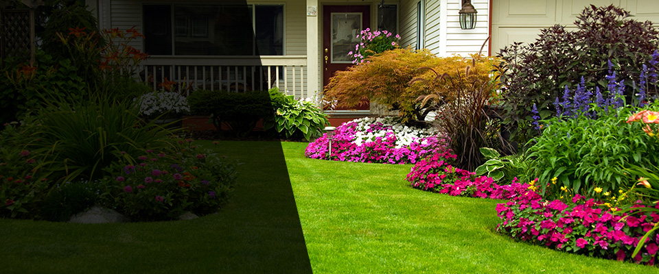 Watertown Landscapers